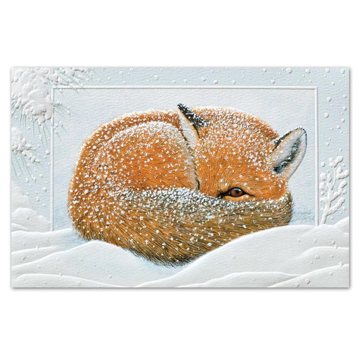 Napping Fox Embossed Christmas Cards