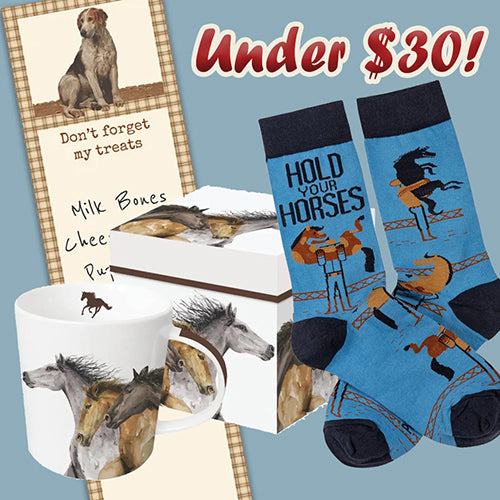 Gifts Under $30