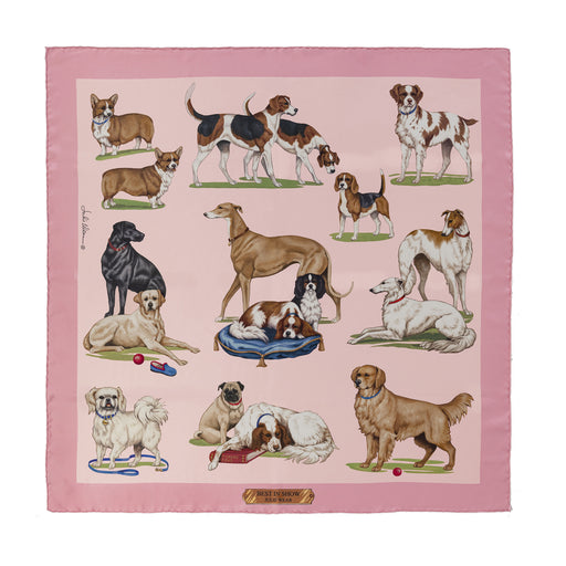Best of Show Silk Scarf by Julie Wear - Pink