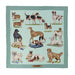 Best of Show Silk Scarf by Julie Wear - Aqua