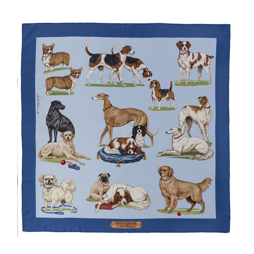 Best of Show Silk Scarf by Julie Wear - Blue