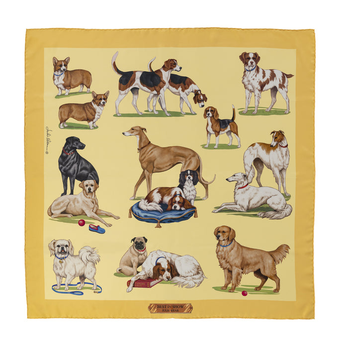 Best of Show Silk Scarf by Julie Wear - Saffron