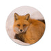 Red Fox Kitchen Helper - Jar Opener