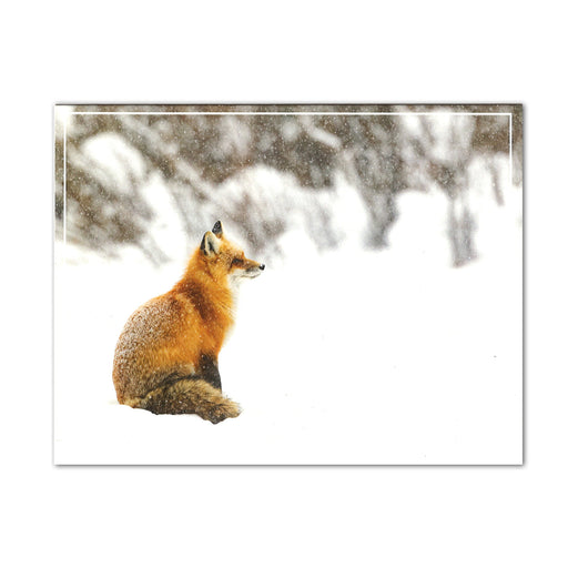 Winter's Day Red Fox Holiday Cards