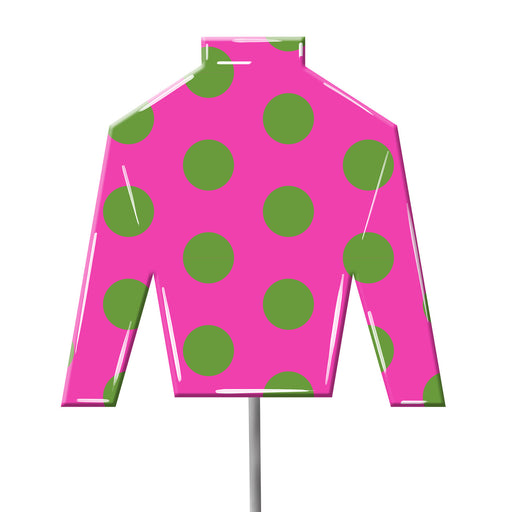 Jockey Silks Yard Stake - Pink & Green Dots