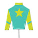 Jockey Silks Yard Stake - Aqua & Lime Star