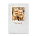 Little Foxes Embossed Holiday Cards