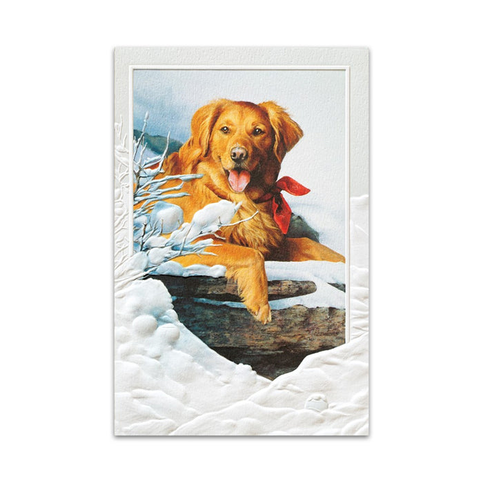 Snow Lover Golden Retriever Holiday Cards