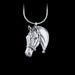 Cody's Wish Sterling Silver Necklace