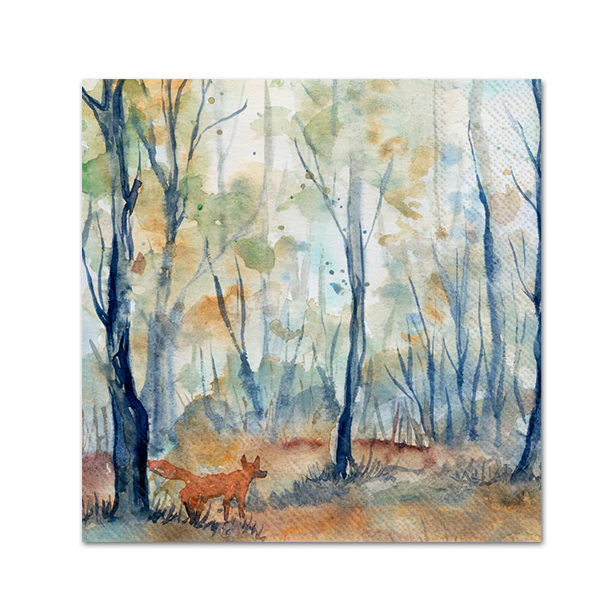 Paper Napkins
