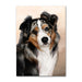 Australian Shepherd Dog Note Card by Tamara Burnett