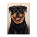 Rottweiler Dog Note Card by Tamara Burnett