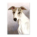 Whippet Dog Note Card by Tamara Burnett