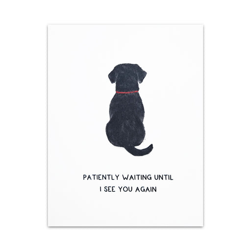 Patiently Waiting - Funny Dog Greeting Card