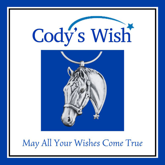 Cody's Wish Sterling Silver Necklace by Jane Heart