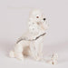 White Poodle Figurine Treasure Box