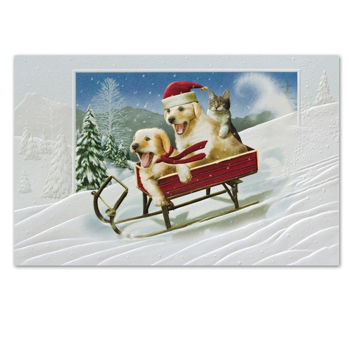 The Need For Speed, Dog Christmas Cards