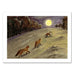 Foxes in the Moonlight Notecard by Cindy Hendrick