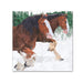 Clydesdale in the Snow Paper Beverage Napkins