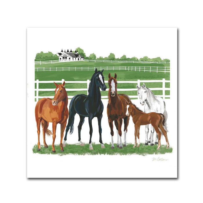 Horse Country Paper Beverage Napkins