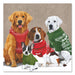 Christmas Sweater Dogs Paper Luncheon Napkins