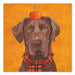 Brownie the Lab Paper Luncheon Napkins