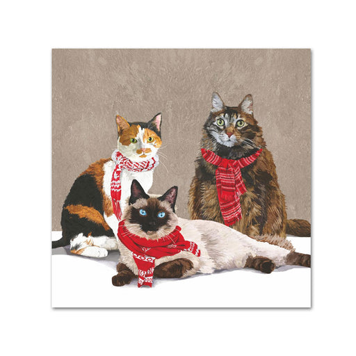 Winter Scarf Cats Paper Beverage Napkins