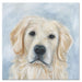 Quinn the Golden Retriever Paper Luncheon Napkins