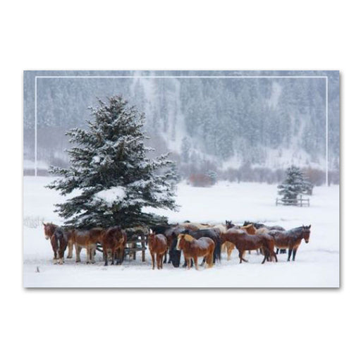 Winter Horse Gathering Holiday Cards
