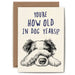You're How Old in Dog Years? Funny Dog Birthday Card 