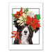 Border Collie & Poinsettia Christmas Cards