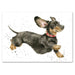 Friday Feeling Dachshund Note Card by Wrendale