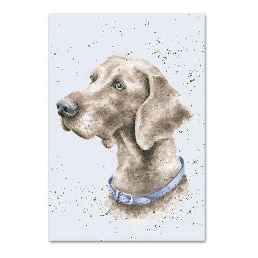 Weimaraner Note Card by Wrendale 