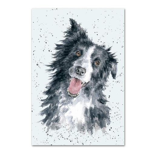 Border Collie Note Card by Wrendale