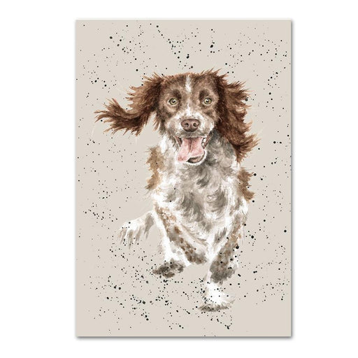English Springer Spaniel Note Card by Wrendale