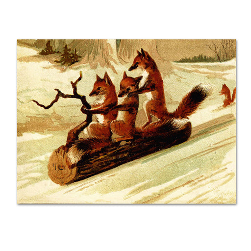Sledding Foxes Holiday Cards