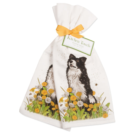 Dandelion Border Collie Cotton Kitchen Towels - Set of 2